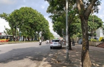 Mở rộng không gian xanh đô thị