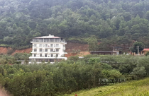 'Ôm mộng' giàu nhanh từ đất rừng sản xuất, nhà đầu tư cẩn thận mắc kẹt