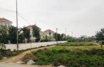 Đất nền giá rẻ vẫn hấp dẫn nhà đầu tư trong mùa dịch