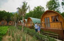 Hùn vốn đầu tư farmstay, nên hay không?
