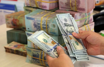 Ngân hàng Nhà nước đổi “chiến thuật”: Tỷ giá USD/VND giảm sâu, khác biệt tại chợ đen