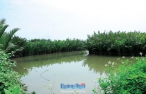 Đầu tư nhiều công viên để xây dựng đô thị xanh