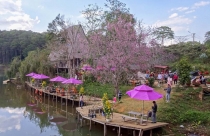 Chủ tịch tỉnh Kon Tum chỉ đạo phương án quy hoạch và đầu tư tại khu vực Sân bay Măng Đen