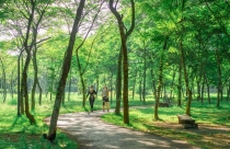 Nhà ở ven đô – xu hướng mới của thị trường bất động sản sau Covid