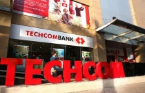 Tỷ trọng vốn vay có thể nhận được ưu đãi cắt giảm lãi suất của Techcombank là khá thấp