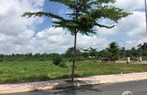 Đầu tư đất theo kiểu "liều ăn nhiều"