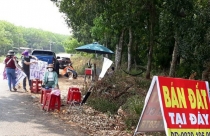 Nóng trong tuần: Tránh "sập bẫy" chiêu trò cắt lỗ, bán tháo
