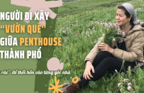 Nữ chủ nhân xây “vườn quê” giữa penthouse 320m2: “Yêu rác” đến nỗi tái sinh và thổi hồn vào từng góc nhà