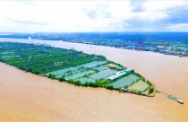 Tập đoàn T&T sẽ “ôm” dự án hơn 1.500 tỉ đồng tại Cần Thơ mà TMS vừa rút lui?