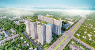 Chủ đầu tư dự án chung cư PD Green Park là ai?