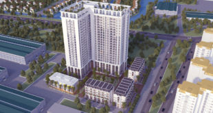 Kiot, Shophouse & Chung Cư TSG Lotus Sài Đồng Long Biên
