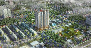 PCC1 Thanh Xuân 44 Triều Khúc