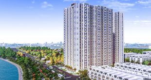 Hanhomes Blue Star