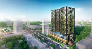 Green Diamond Láng Hạ