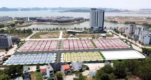 Đất Nền Tây Hùng Thắng
