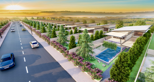 SunFlower Hill Bảo Lộc