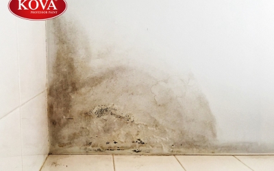 Chống thấm nhà tắm là ưu tiên số một cho cả những công trình mới hay đặc biệt là những ngôi nhà đã qua sử dụng lâu năm. Nếu không sẽ gây nên hiện tượng ẩm mốc, rất trơn trượt và dễ trượt ngã
